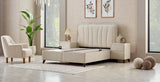 Vitale Set
